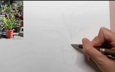 [课程中心]欧阳贝钢笔淡彩花卉果蔬自然风景课2023[高清画质]