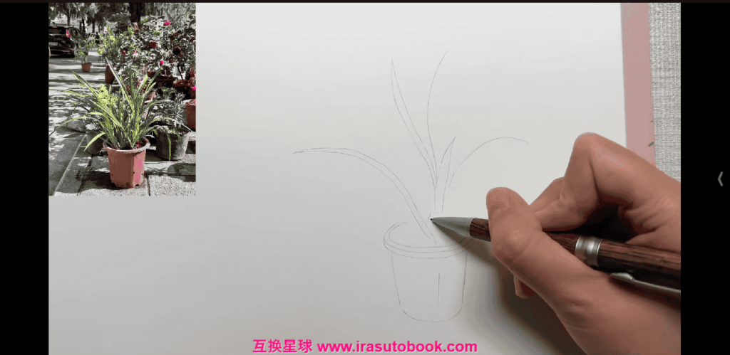 [课程中心]欧阳贝钢笔淡彩花卉果蔬自然风景课2023[高清画质]