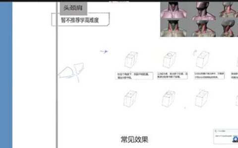 [课程中心]蚂蚁八手王素体第6期2022[高清画质]