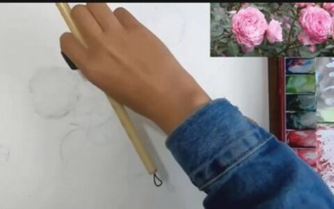 [课程中心]羽羽水彩课合集[高清画质]