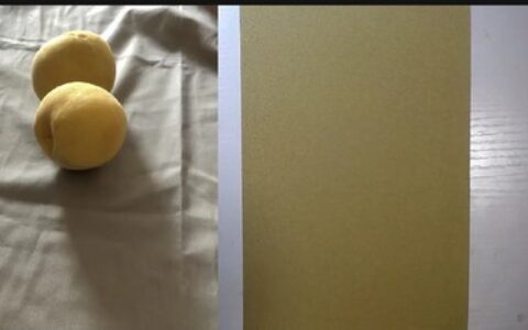 [课程中心]何石磊色粉年课珍藏[高清画质]