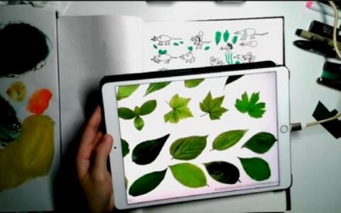 [课程中心]一抹iPad趣味插画角色训练营[高清画质]