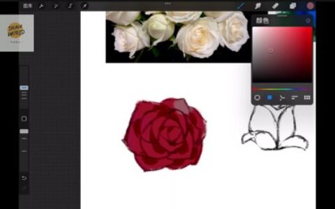 [课程中心]水岛凉树日系少女立绘设计专题课2024[高清画质]