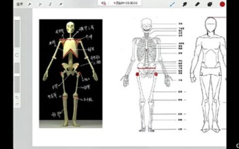 [课程中心]李富贵伪厚涂美型人像插画第4期2024年7月[高清画质]