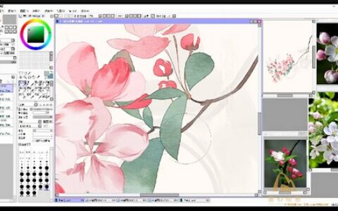 [课程中心]青禾质感花卉专题课[高清画质]