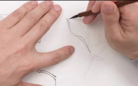 [课程中心]月升绘馆国画基础课[高清画质]