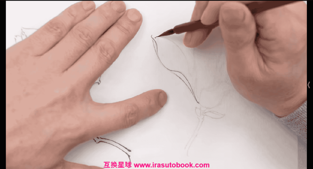 [课程中心]月升绘馆国画基础课[高清画质]