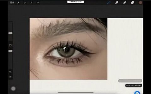 [课程中心]与snow人像厚涂中级班[高清画质]
