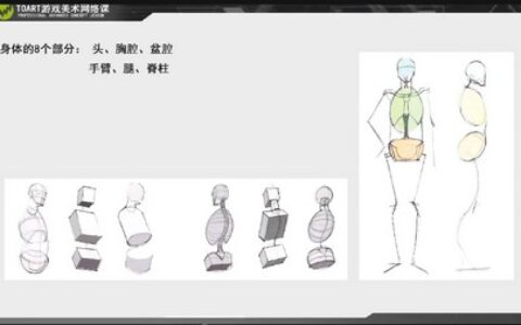 [课程中心]TOART角色形体研修班2023年11月[高清画质]