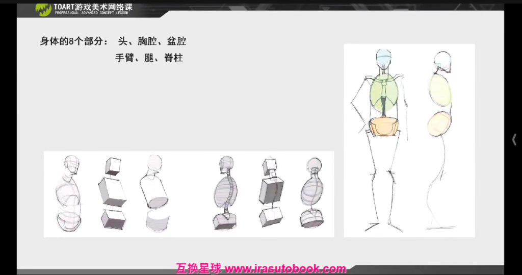 [课程中心]TOART角色形体研修班2023年11月[高清画质]