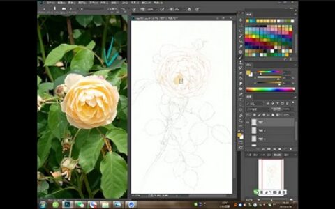 [课程中心]溪风桃年花草器物插画课107期2022年[高清画质]