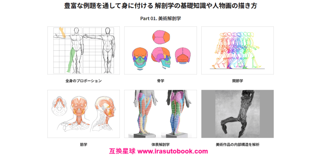 [COLOSO]美術解剖学と人物画描写で極める人体表現マスターClass[高清画质]
