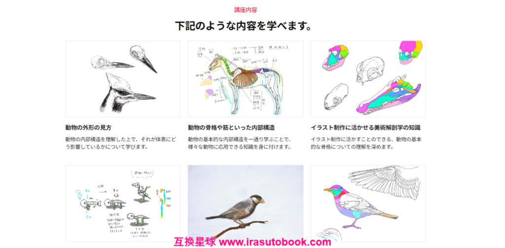 [COLOSO]クリエイターのための「動物の美術解剖学」[高清画质]