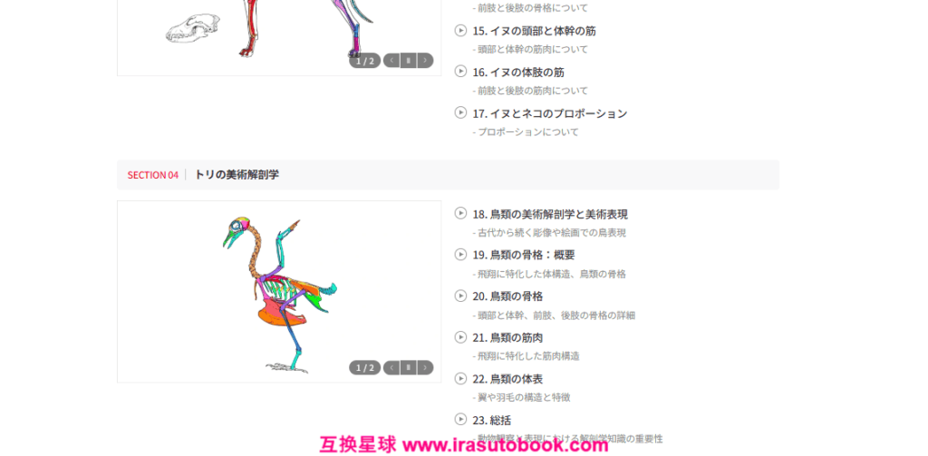 [COLOSO]クリエイターのための「動物の美術解剖学」[高清画质]