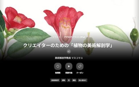 [日韩课程]创作者的植物美术解剖学[高清画质]