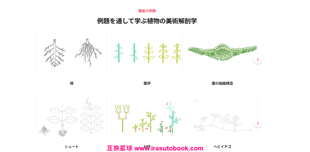[COLOSO]クリエイターのための「植物の美術解剖学」[高清画质]