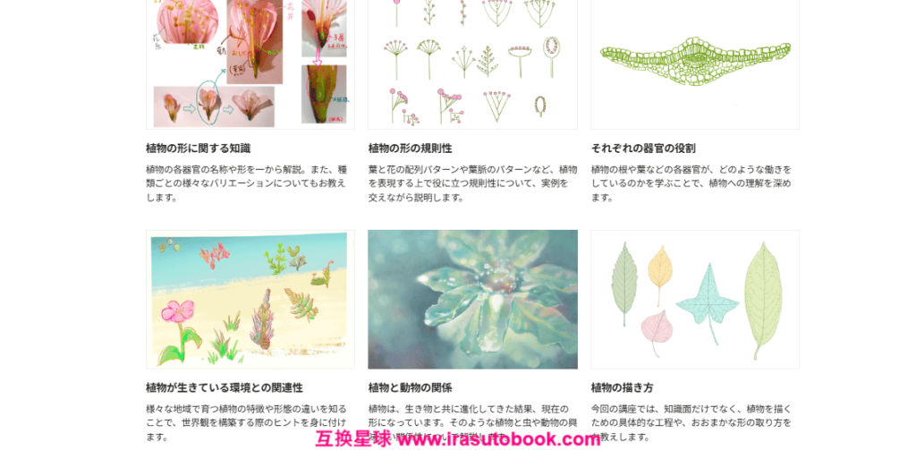 [COLOSO]クリエイターのための「植物の美術解剖学」[高清画质]