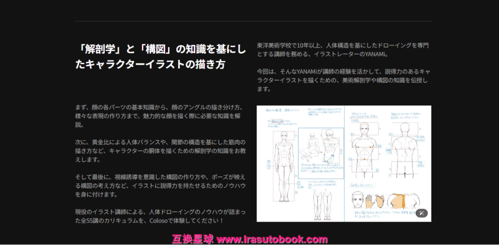 [COLOSO]完全攻略55講：魅力的なイラストを描くための美術解剖学・構図入門[高清画质]