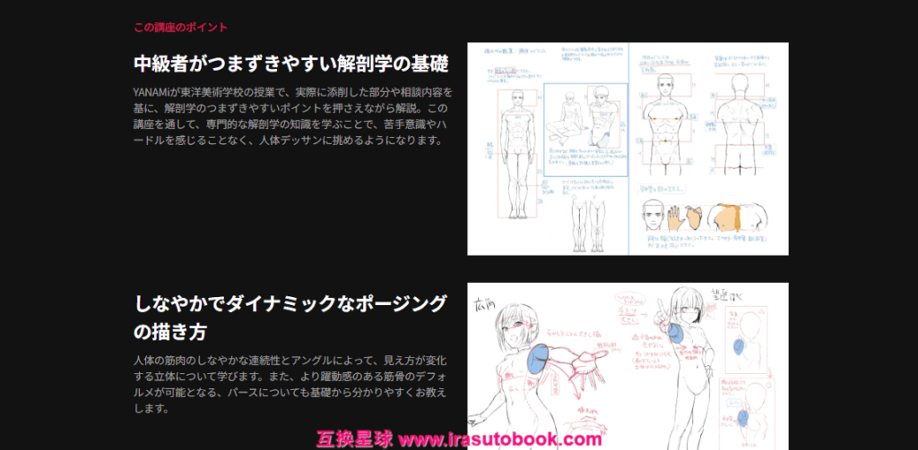 [COLOSO]完全攻略55講：魅力的なイラストを描くための美術解剖学・構図入門[高清画质]