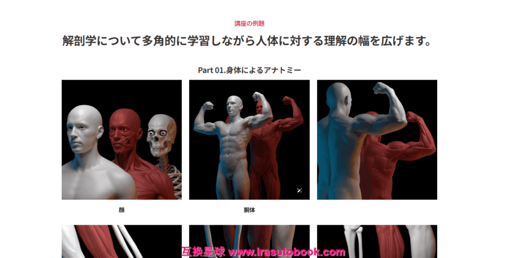 [COLOSO]キャラクターアーティストのための3Dアナトミー入門[高清画质]