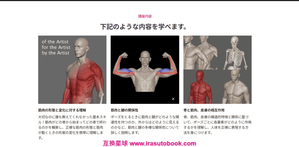 [COLOSO]キャラクターアーティストのための3Dアナトミー入門[高清画质]