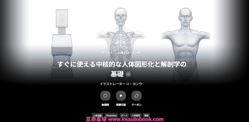 [COLOSO]すぐに使える中核的な人体図形化と解剖学の基礎[高清画质]