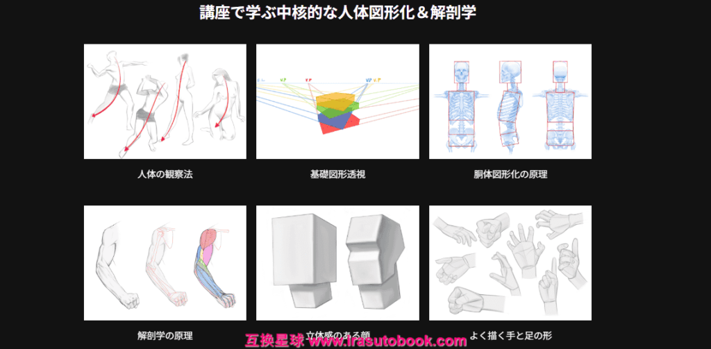 [COLOSO]すぐに使える中核的な人体図形化と解剖学の基礎[高清画质]