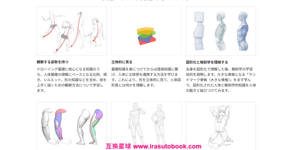 [COLOSO]すぐに使える中核的な人体図形化と解剖学の基礎[高清画质]