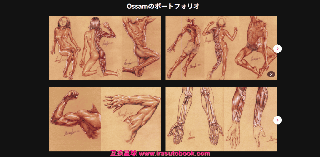 [COLOSO]完全攻略84講：人体解剖学講師による自然な人体を描くための解剖学[高清画质]