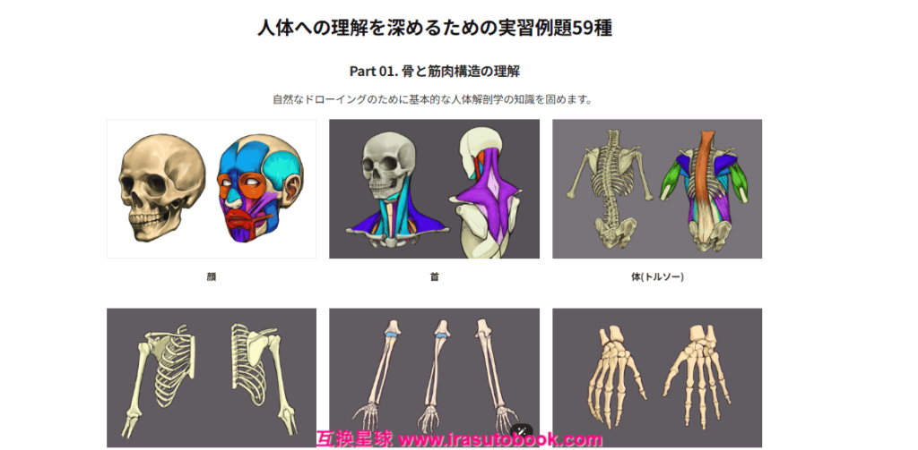[COLOSO]完全攻略84講：人体解剖学講師による自然な人体を描くための解剖学[高清画质]