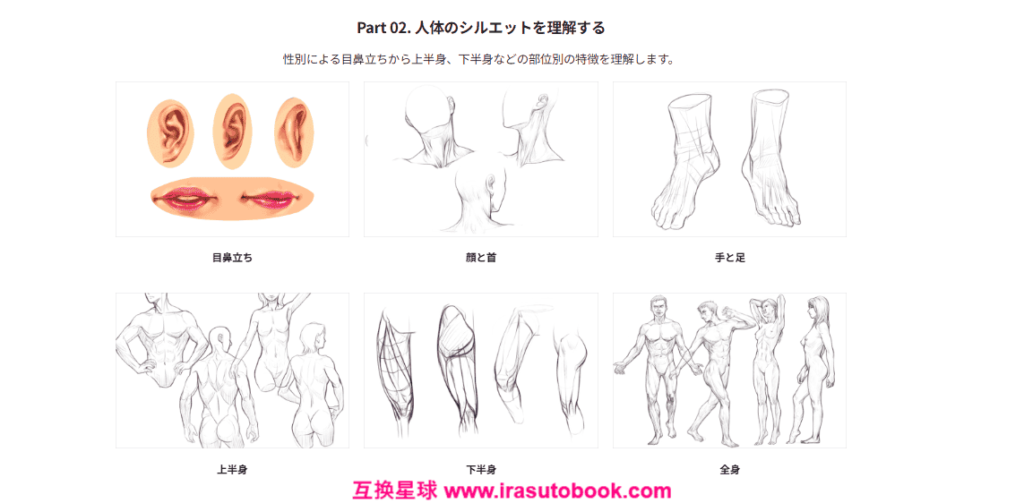 [COLOSO]完全攻略84講：人体解剖学講師による自然な人体を描くための解剖学[高清画质]