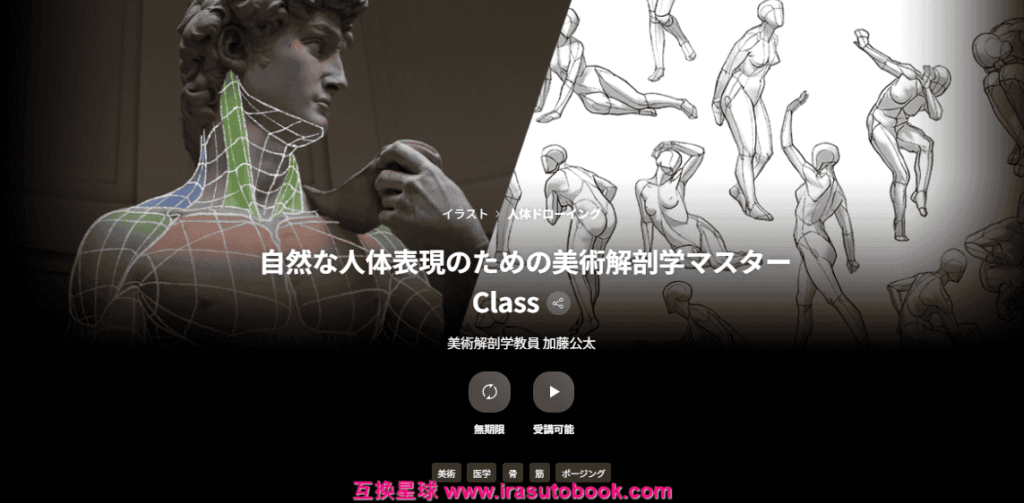 [日韩课程]美术解剖学大师班：自然人体表现技巧[高清画质]