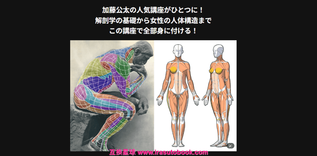 [日韩课程]美术解剖学大师班：自然人体表现技巧[高清画质]