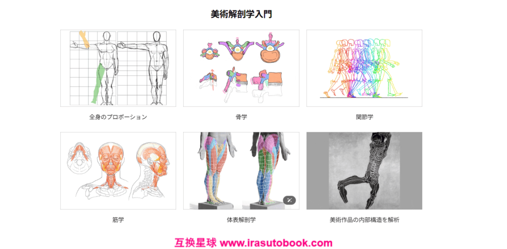 [日韩课程]美术解剖学大师班：自然人体表现技巧[高清画质]