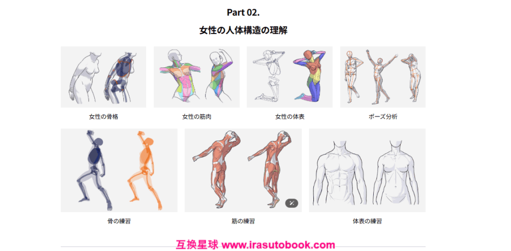 [日韩课程]美术解剖学大师班：自然人体表现技巧[高清画质]