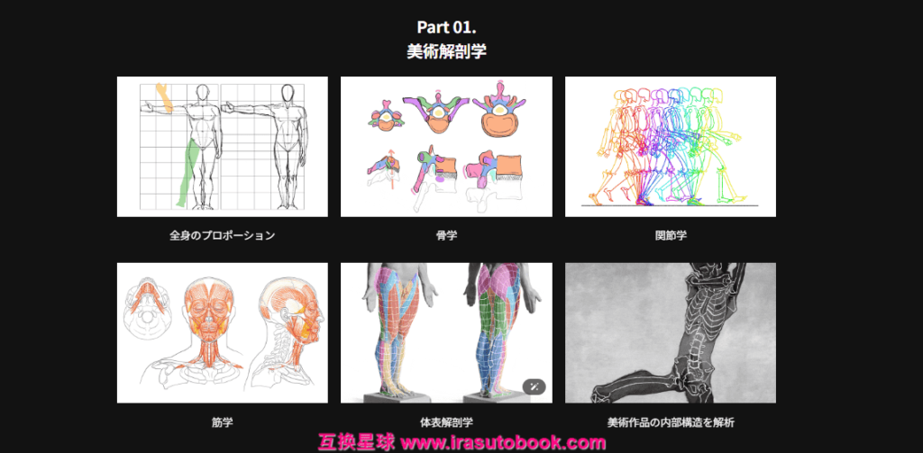 [日韩课程]基于美术解剖学与图形化思维的人体绘画课程[高清画质]