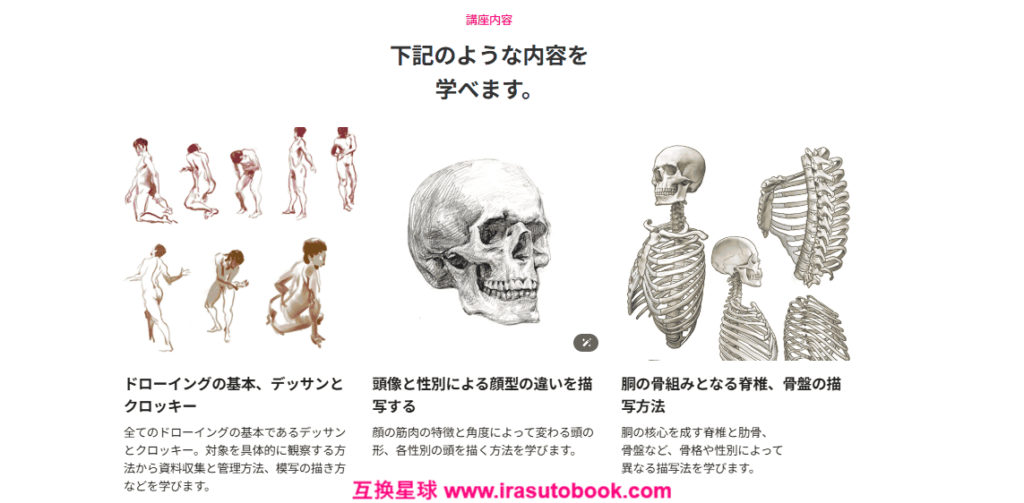 [日韩课程]基于解剖学的人体绘画课程[高清画质]