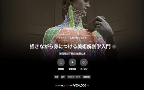 [日韩课程]边画边学：美术解剖学入门[高清画质]