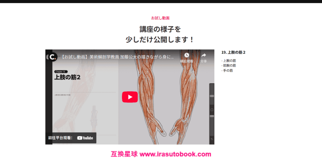 [日韩课程]边画边学：美术解剖学入门[高清画质]
