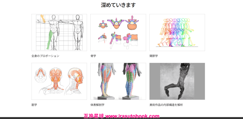 [日韩课程]边画边学：美术解剖学入门[高清画质]