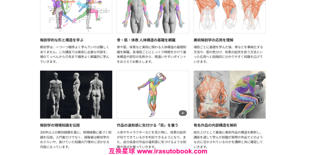 [日韩课程]边画边学：美术解剖学入门[高清画质]