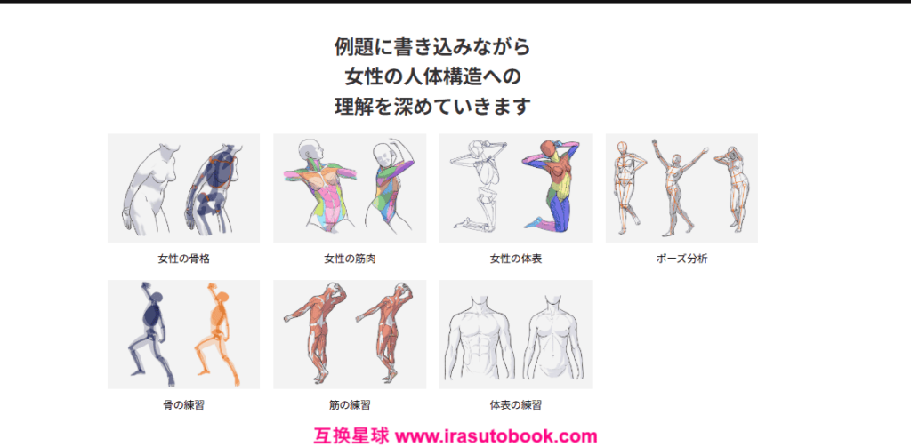 [日韩课程]女性人体结构与简易美术解剖学[高清画质]