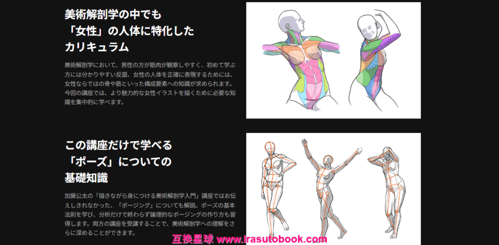 [日韩课程]女性人体结构与简易美术解剖学[高清画质]