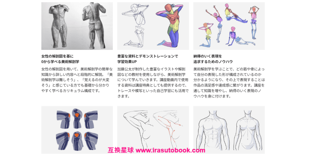 [日韩课程]女性人体结构与简易美术解剖学[高清画质]