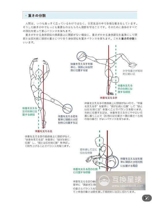 [互换中]从人体结构学习自然姿态绘画[432P]