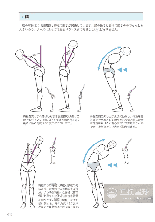[互换中]从人体结构学习自然姿态绘画[432P]