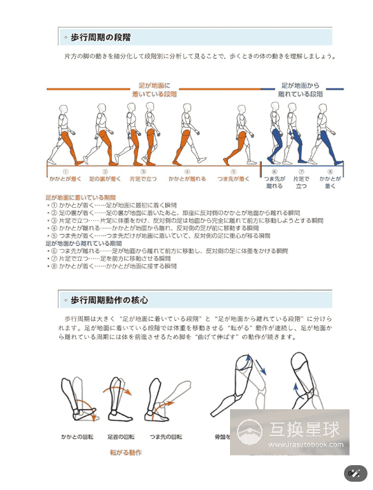 [互换中]从人体结构学习自然姿态绘画[432P]