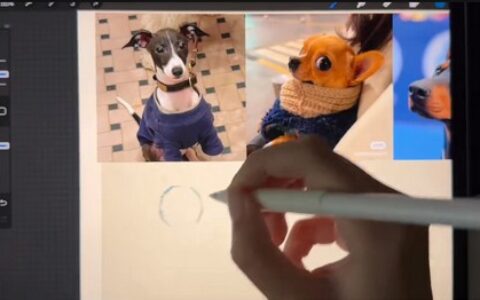 [课程中心]凶猛悍兔动物插画速写课2025[高清画质]