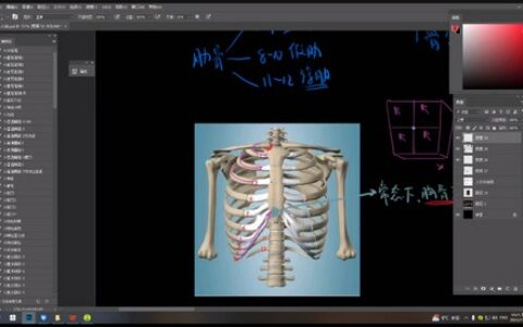 [课程中心]米罗原画角色设计课第19期2024年1月结课[高清画质]