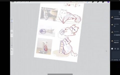 [课程中心]呆呆西西动物速写团练2023年2月ipad插画课[高清画质]